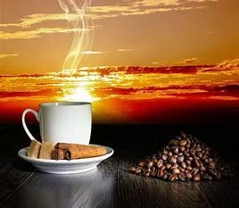 Midnight Decadence Coffee