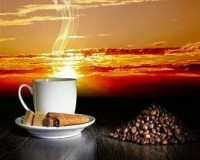 Midnight Decadence Coffee